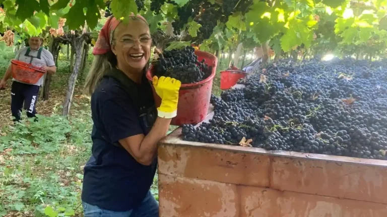 Catalina Garay harvesting grapes during a period of personal and professional transformation, symbolizing a journey from shadow to light