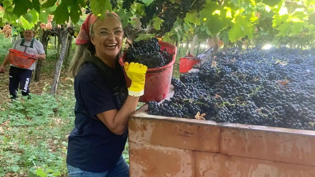 From Shadow to Light: A Journey of Transformation